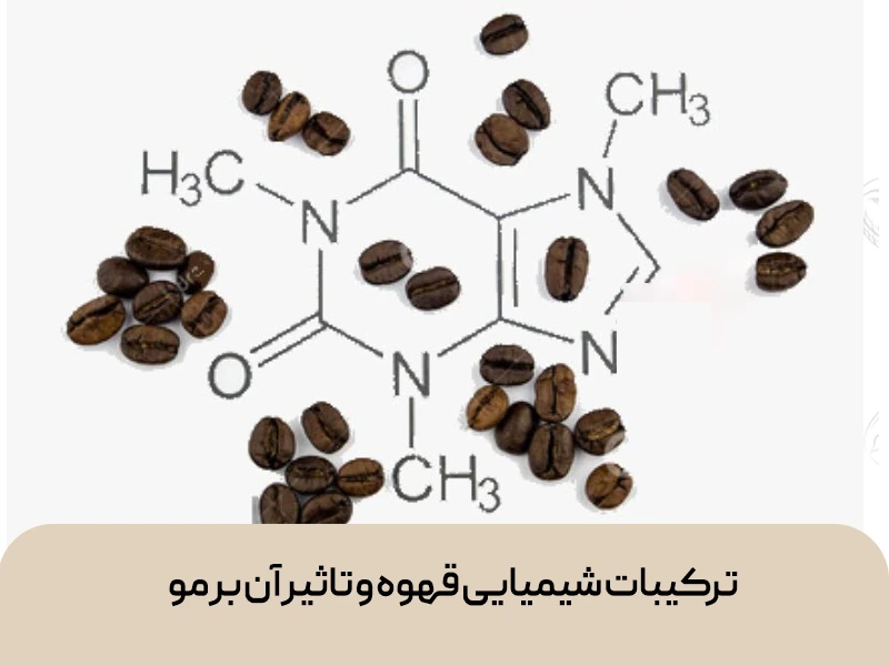  تاثیر قهوه بر مو
