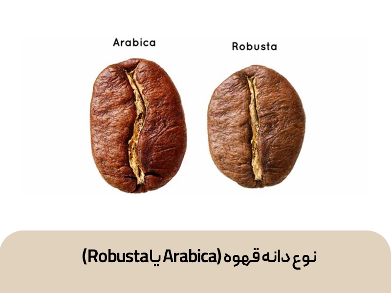 نوع دانه قهوه (Arabica یا Robusta)